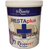 St. Hippolyt Magnesium B12 - 1000g