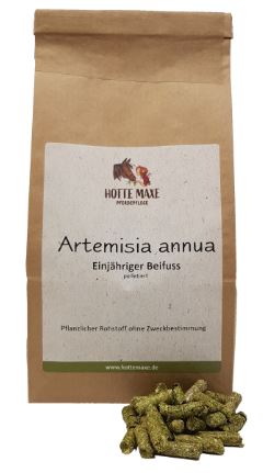 Hotte Maxe einj. Beifuss Artemisia annua pelletiert