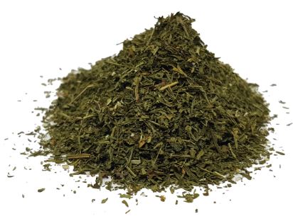 Hotte Maxe einj. Beifuss Artemisia annua fein geschnitten