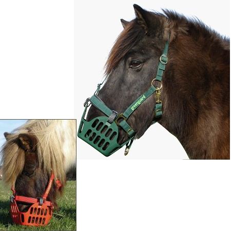 Greenguard® Halfter zum Maulkorb