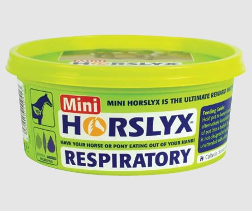 Derby Horslyx Mini Respiratory Leckmasse - für die Atemwege 650g