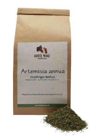 Hotte Maxe einj. Beifuss Artemisia annua fein geschnitten