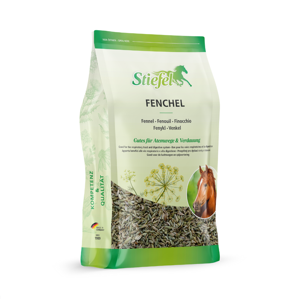 Stiefel Fenchel 500g