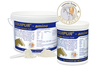 Equipur-amino 3kg 3kg Pulver