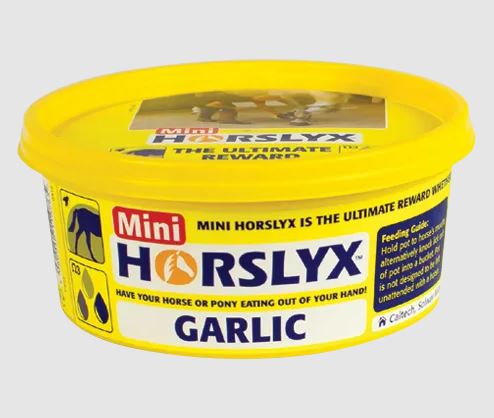 Derby Horslyx Mini Garlic Leckmasse - mit Knoblauch 650g
